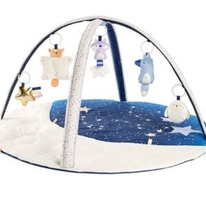 Skip Hop Celestial Activity Gym - Blue and Cream brand New in box
